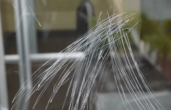 Window Cleaning in Fresno CA Blogs 14